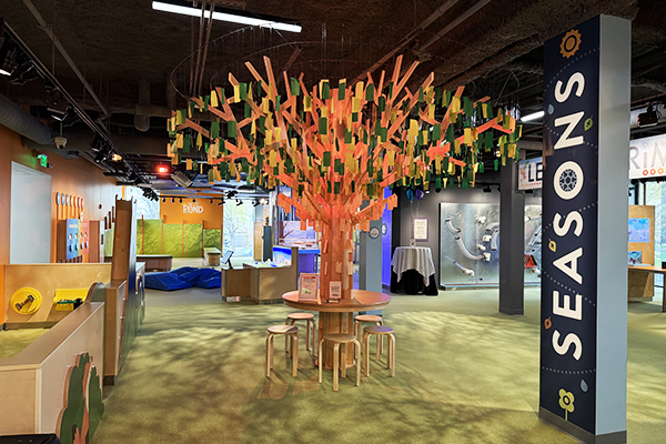 Utica Children's Museum interior showing a wooden tree with hand written messages on the branches.